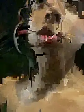 Snapshot of mara_rosseX chatting on 11-09-25, 06:33 mara rosseX online show from 11-09-25, 06:33