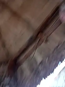 Snapshot of prototipoA45 chatting on 01-13-26, 10:26 prototipoA45 online show from 01-13-26, 10:26