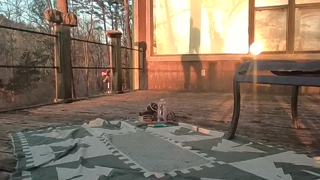 2099RivenXXX online show from 02-28-26, 11:50