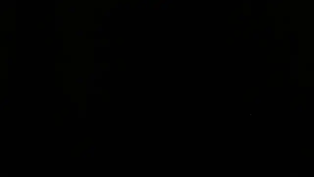 shark boy28 online show from 11-20-25, 02:56