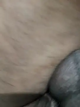 LEOMEGHA2026 online show from 11-19-25, 04:51