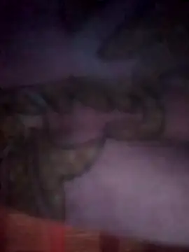 jacka 305 online show from 11-26-25, 07:59