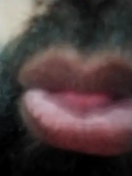 hyderabad single online show from 11-24-25, 12:38