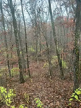 hardwhitemidage online show from 11-22-25, 03:11