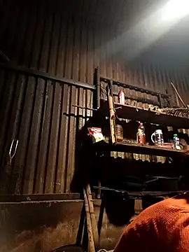 -Chua-90 online show from 02-09-26, 11:42