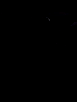 john12-931 online show from 11-21-25, 06:56