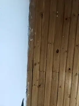 la beba20 online show from 01-11-26, 03:55