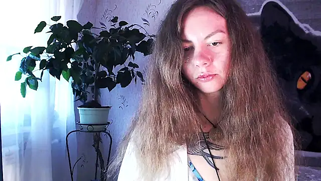 Personal Bulldozer online show from 12-22-25, 08:33