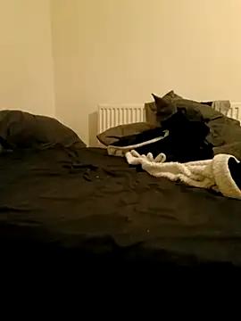 Snapshot of Jakefeeney chatting on 11-17-25, 10:04 Jakefeeney online show from 11-17-25, 10:04