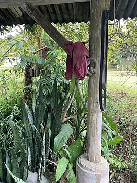 Monahliza online show from 04-06-26, 04:52