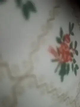 lusty daisy 01 online show from 03-26-26, 05:07