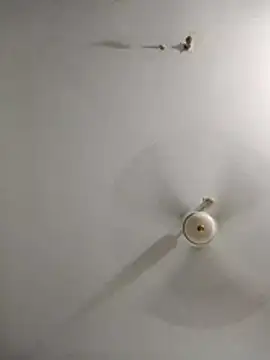 Snapshot of rupamim chatting on 03-26-26, 09:09 rupamim online show from 03-26-26, 09:09