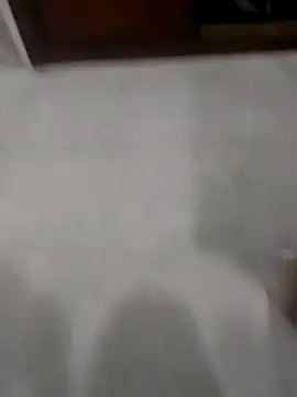 Zaginer online show from 11-20-25, 10:31