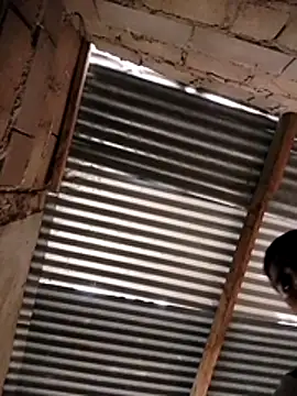 manumegumy online show from 11-19-25, 07:25