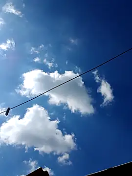 Eezxxx online show from 12-17-25, 07:14