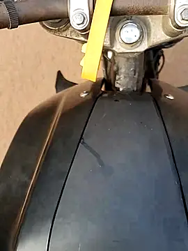 Meow buggie online show from 12-23-25, 02:53