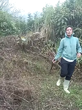 nangmo online show from 03-05-26, 12:06