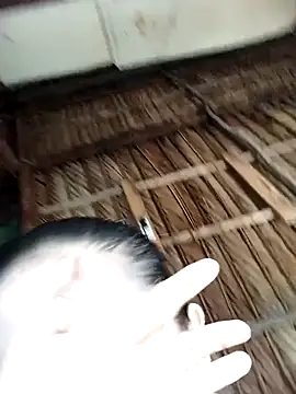 Lin-kute98 online show from 02-09-26, 12:58