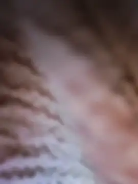 Punam panjabi online show from 02-28-26, 07:53