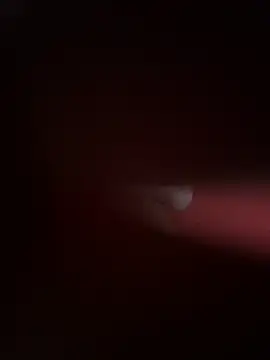 PartiedOmelet online show from 11-24-25, 07:24