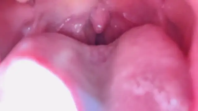 LT-333 online show from 01-17-26, 07:17