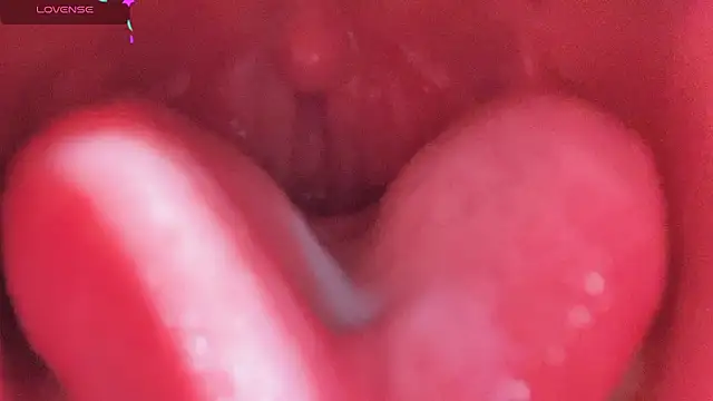 LT-333 online show from 02-25-26, 05:11