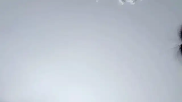 Celestisse- online show from 11-29-25, 05:54