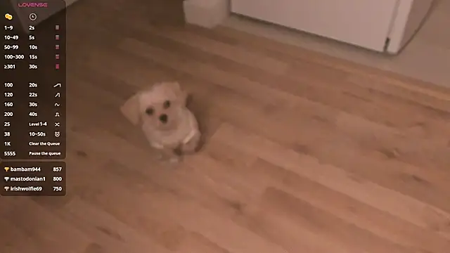 Snapshot of MePretty chatting on 03-23-25, 12:58 MePretty online show from 03-23-25, 12:58