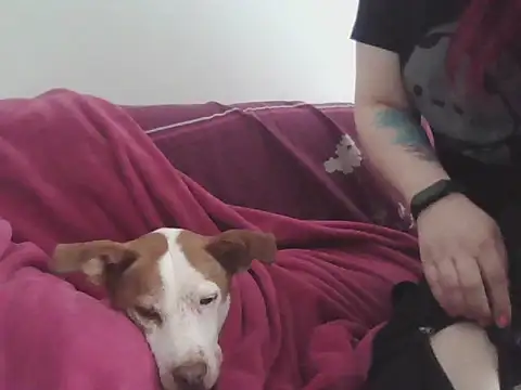 Darkytah online show from 02-20-26, 03:34