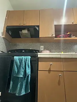 Snapshot of Samcan3 chatting on 02-06-26, 11:02 Samcan3 online show from 02-06-26, 11:02