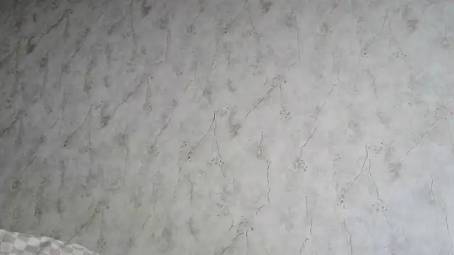 Snapshot of AliceWonderLure chatting on 12-03-25, 09:18 AliceWonderLure online show from 12-03-25, 09:18