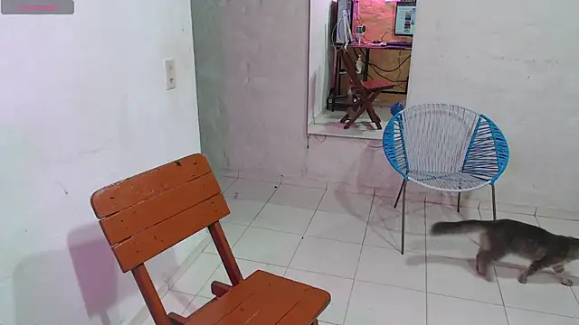 maxI dick33 online show from 02-14-26, 10:23