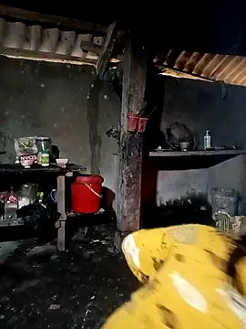 ava-dellght online show from 02-01-26, 06:34