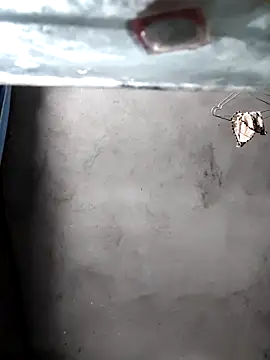 gigo-ulala online show from 12-16-25, 01:38