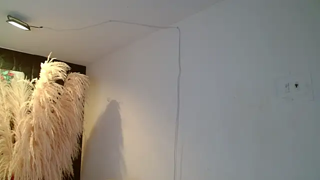 paisita1609 online show from 03-05-26, 08:38