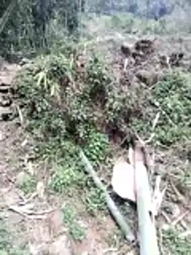 neko-nancy online show from 02-26-26, 07:07