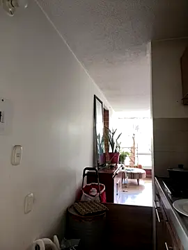  NickJuniorr online show from 12-13-25, 07:53