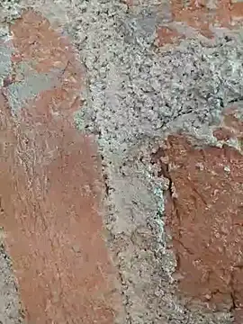 Soniya5533 online show from 12-14-25, 09:03