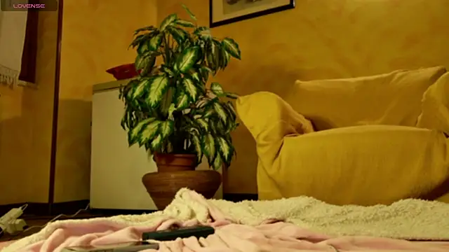 mark ariete online show from 02-24-26, 06:39