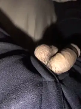 lion kun online show from 12-15-25, 09:13