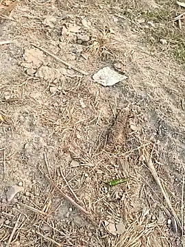 sexloverg7 online show from 12-15-25, 10:41