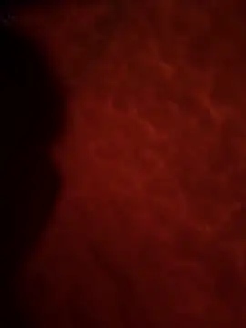 Sweetley online show from 02-02-26, 03:22