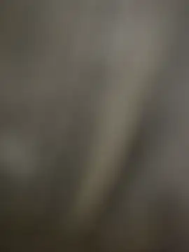 Sammyboii006 online show from 12-16-25, 06:13