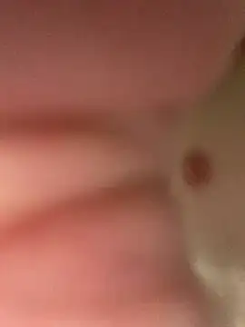 heath82841 online show from 02-11-26, 11:48