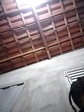 selvajao online show from 12-21-25, 06:31