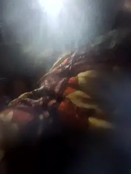 Snapshot of Couples9090 chatting on 01-10-26, 03:58 Couples9090 online show from 01-10-26, 03:58