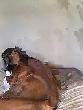 babepear online show from 02-25-26, 06:34