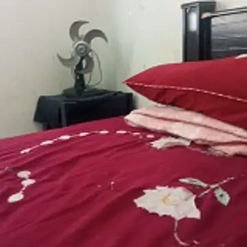    - - bucetuda  2026 online show from 01-06-26, 02:43