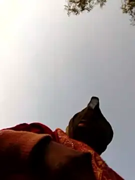 Jyoti sekh online show from 02-10-26, 02:04