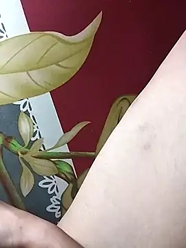 huuluat2 online show from 01-17-26, 11:41